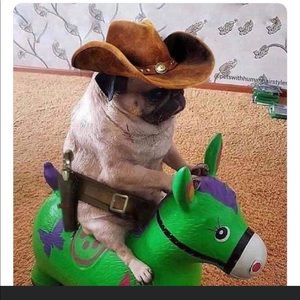 Meet your Posher, Levi